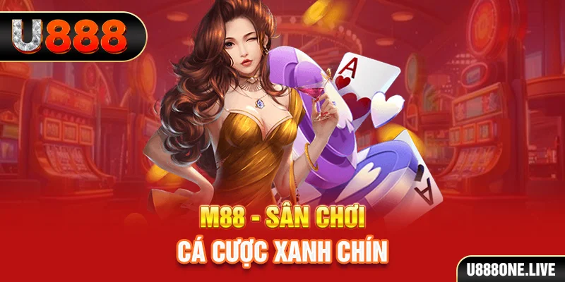 i9bet42 gà chọi cậu thanh