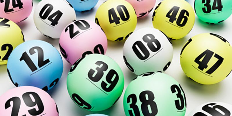 i9bet42 gà chọi cam ranh