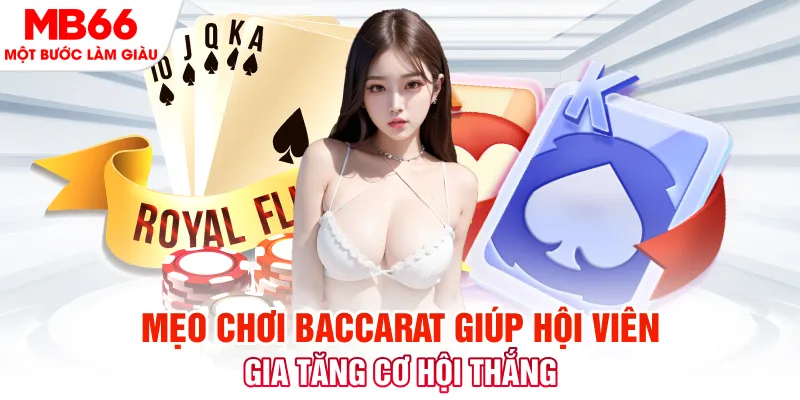 i9bet42 đá gà 88