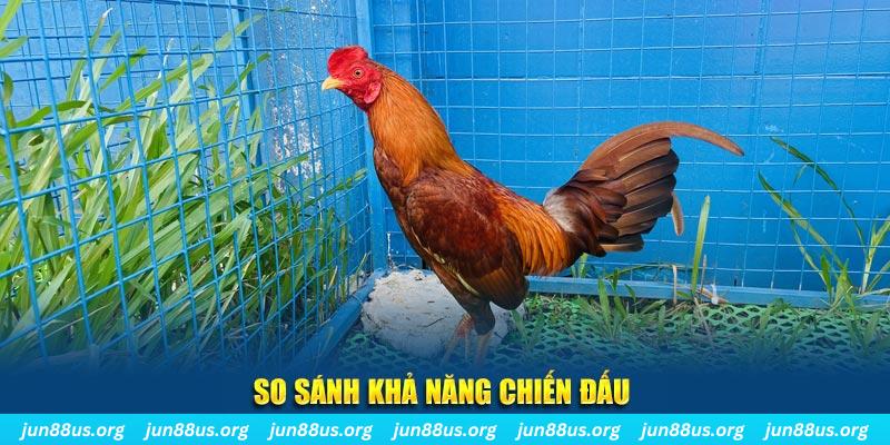 i9bet42 xổ số tiền giang