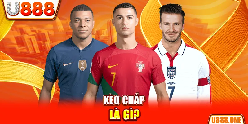 i9bet42 chổi lông gà
