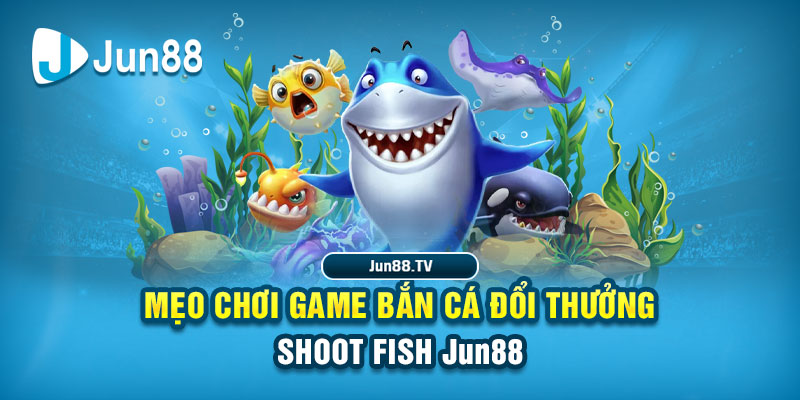 i9bet42 tai game danh bai bigkool ve may tinh