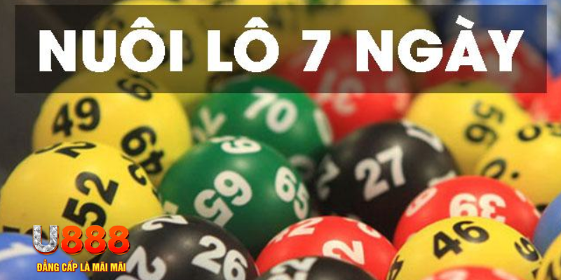 i9bet42 IM Thể Th