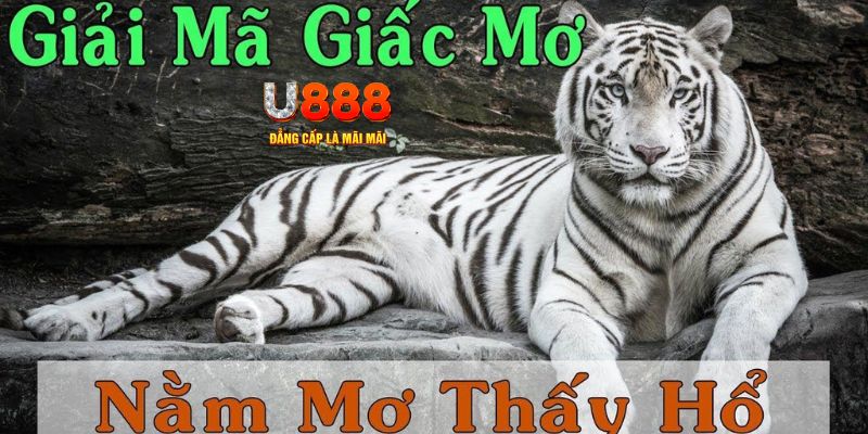 i9bet42 xổ số kiến thiết miền bắc