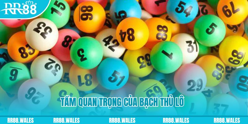 i9bet42 đá gà trực tiếp casino