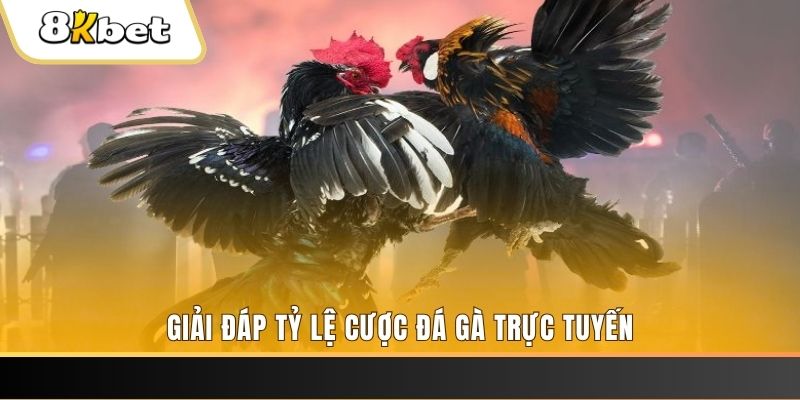 i9bet42 xổ số ba đài
