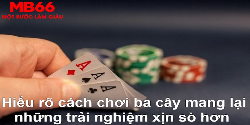 i9bet42 ÁT CHỦ BÀI GIÀNH LẤY ZHUANG NIUNIU ( XEM 3 LÁ )