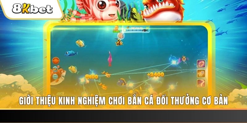 i9bet42 8 bí ẩn chơi nổ hũ ít ai biết