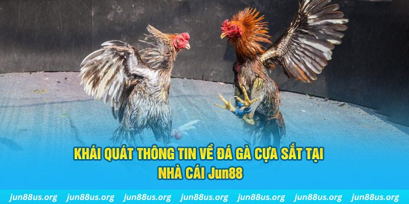 i9bet42 game bài trên máy tính