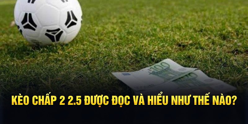 i9bet42 đá gà thomo