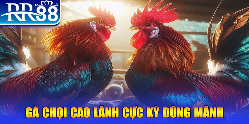 i9bet42 natural” trong baccarat nghĩa là gì？
